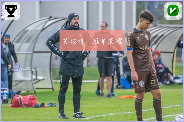 苏翊鸣，冠军荣耀