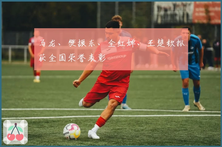 马龙、樊振东、全红婵、王楚钦拟获全国荣誉表彰