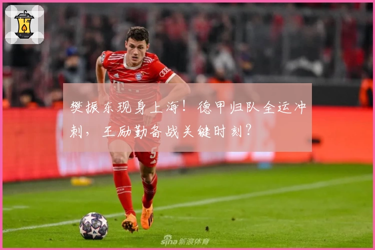 樊振东现身上海!德甲归队全运冲刺,王励勤备战关键时刻?